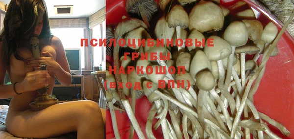 мяу мяу кристалл Покачи