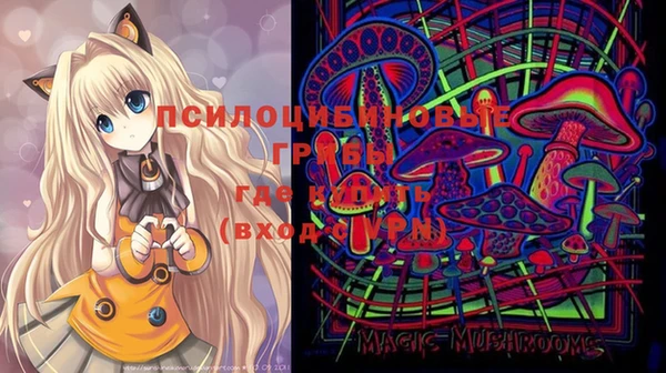 ECSTASY Абинск